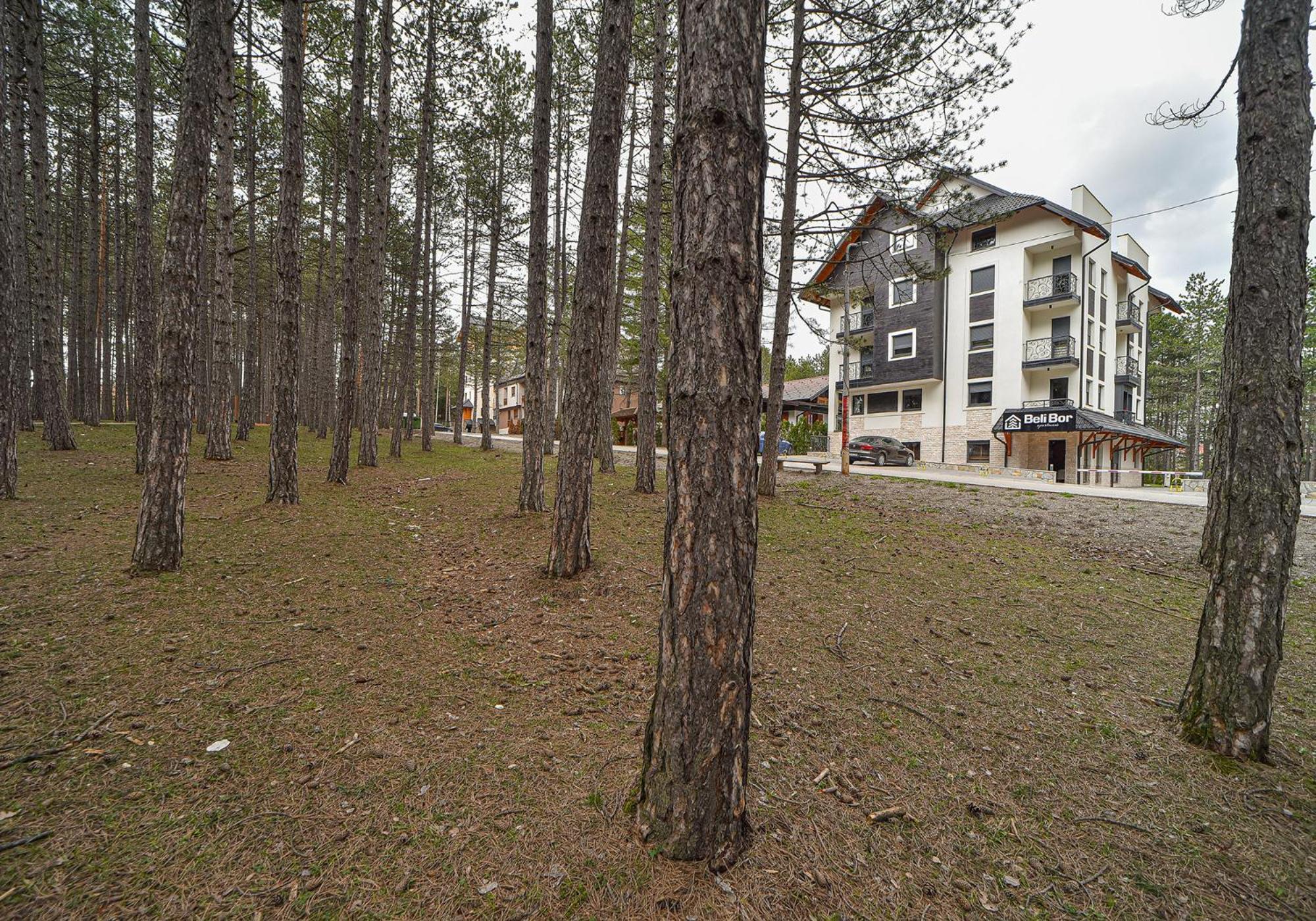 Beli Bor Zlatibor Aparthotel Eksteriør bilde